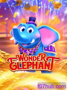 WonderElephant